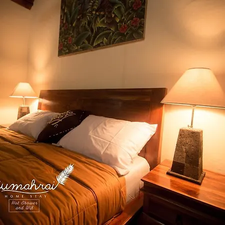 Dijumahrai Homestay Ubud Exterior foto